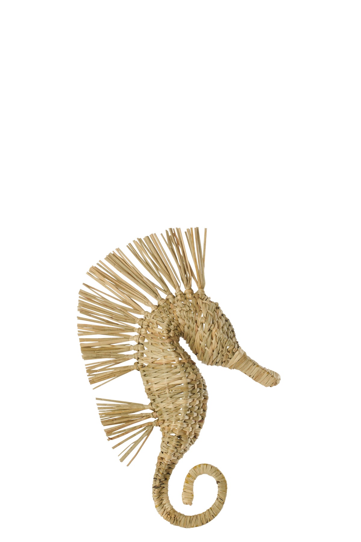 Objeto decorativo de pared Caballo de mar Hierba Natural Pequeño J-Line