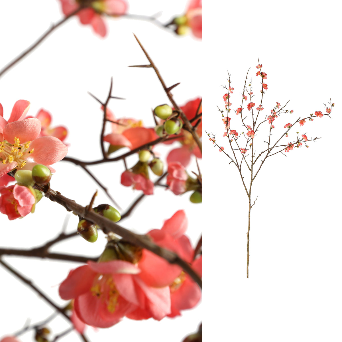 Blossom Flower Flor de Cerezo Rosa L PTMD