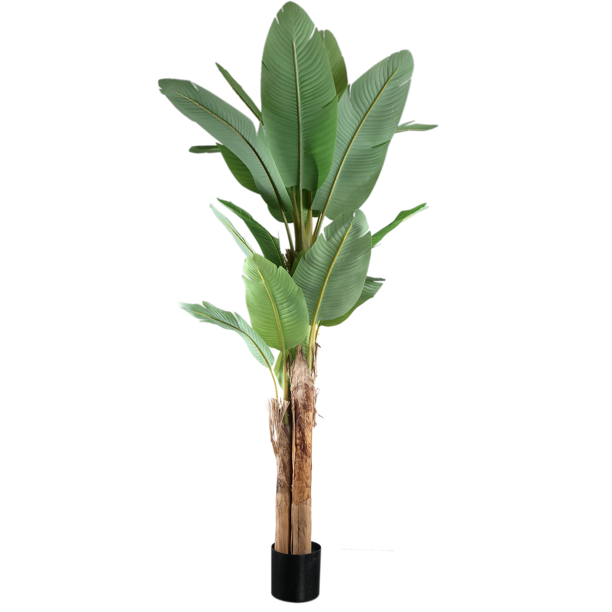 Árbol verde de PE Real Touch, banano, L 170x163x280cm PTMD