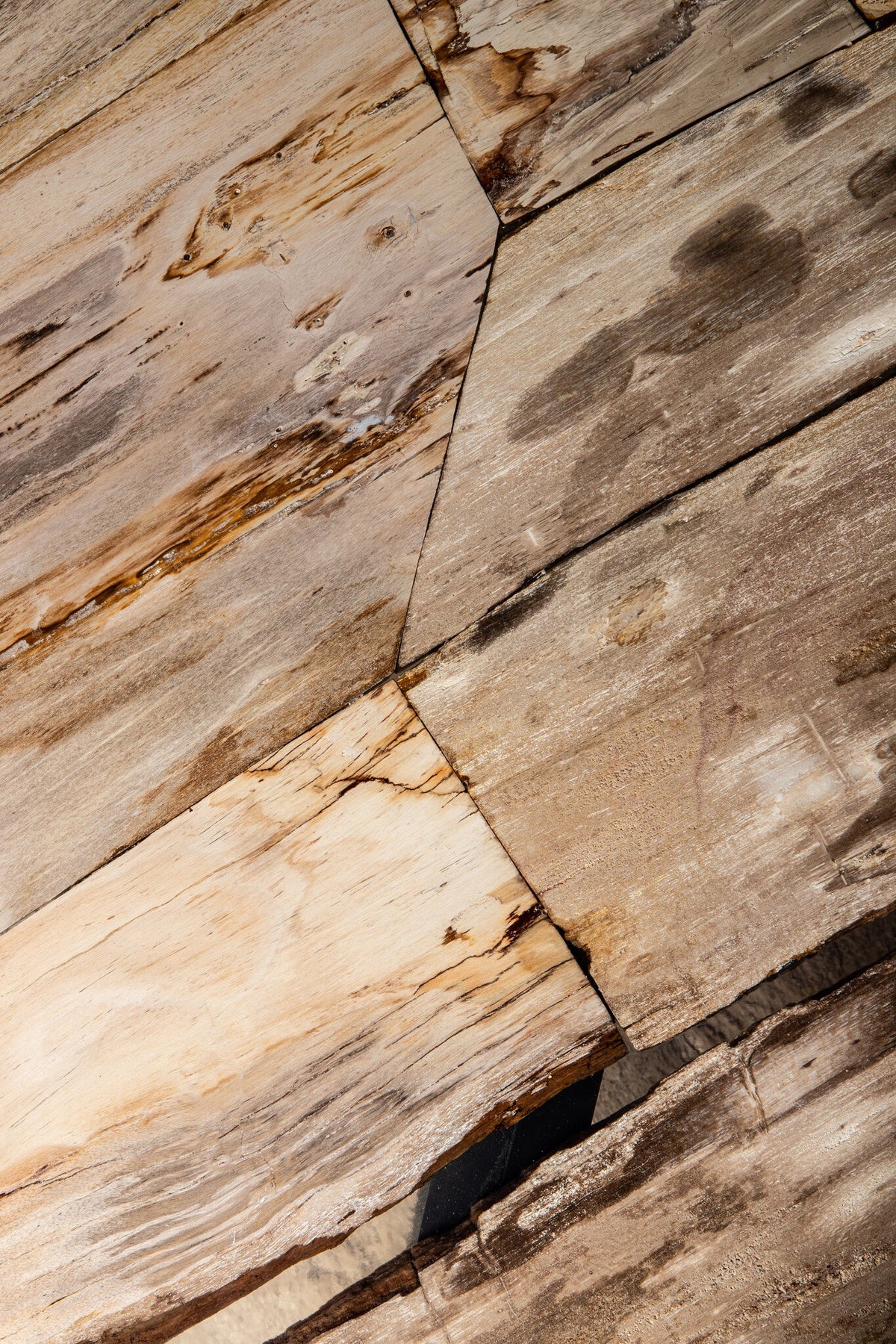 Mesa de centro Deeba de madera petrificada 95 PTMD