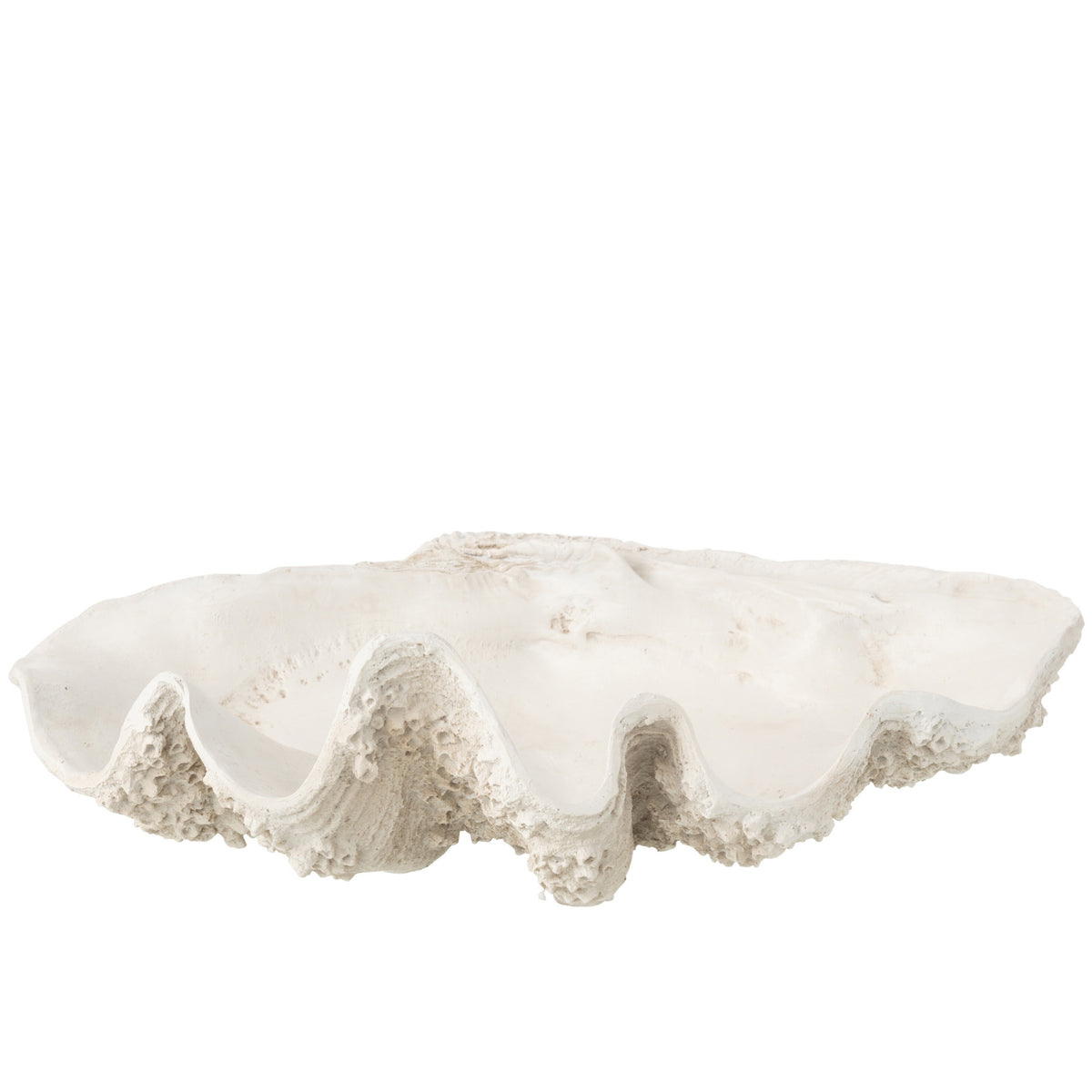Plato decorativo con concha de mar de resina, blanco roto, grande, J-Line