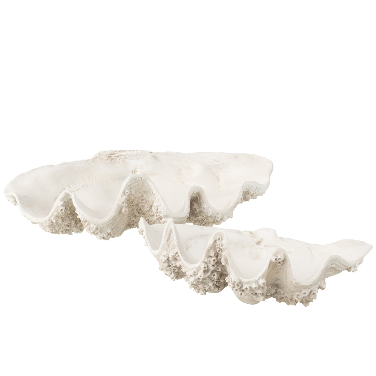 Plato decorativo con concha de mar de resina, blanco roto, grande, J-Line