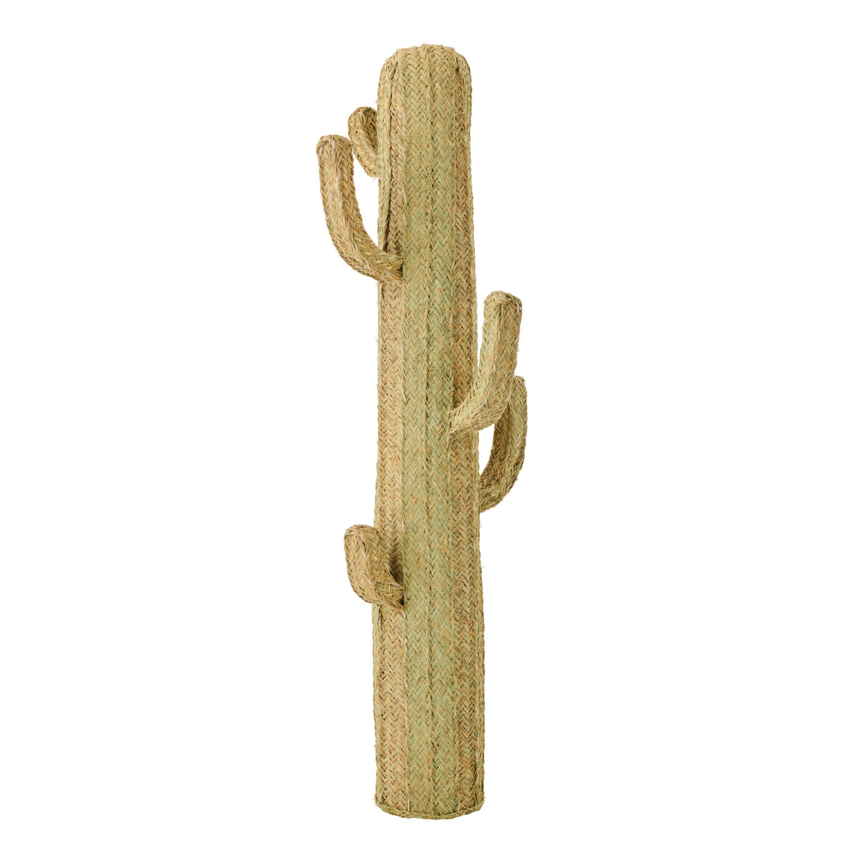Hierba de Cactus Natural Extra Grande J-Line