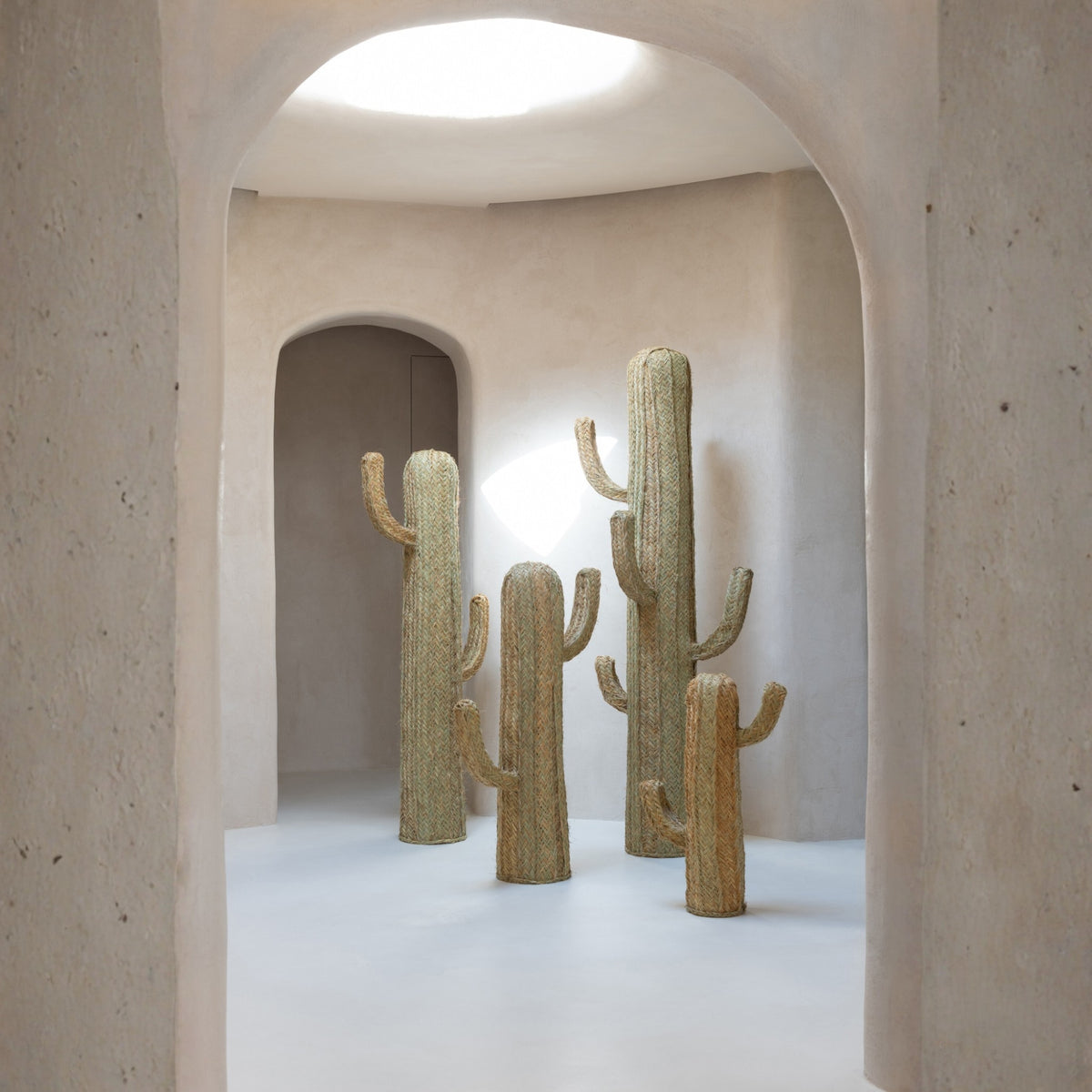 Hierba Cactus Natural Mediana J-Line