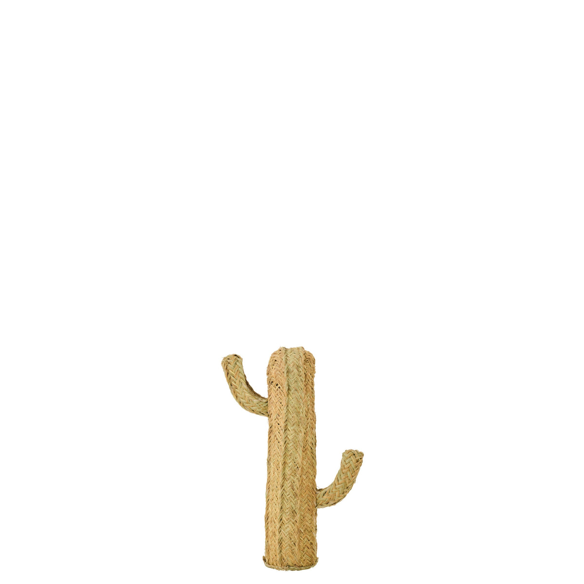 Hierba de Cactus Natural Pequeña J-Line