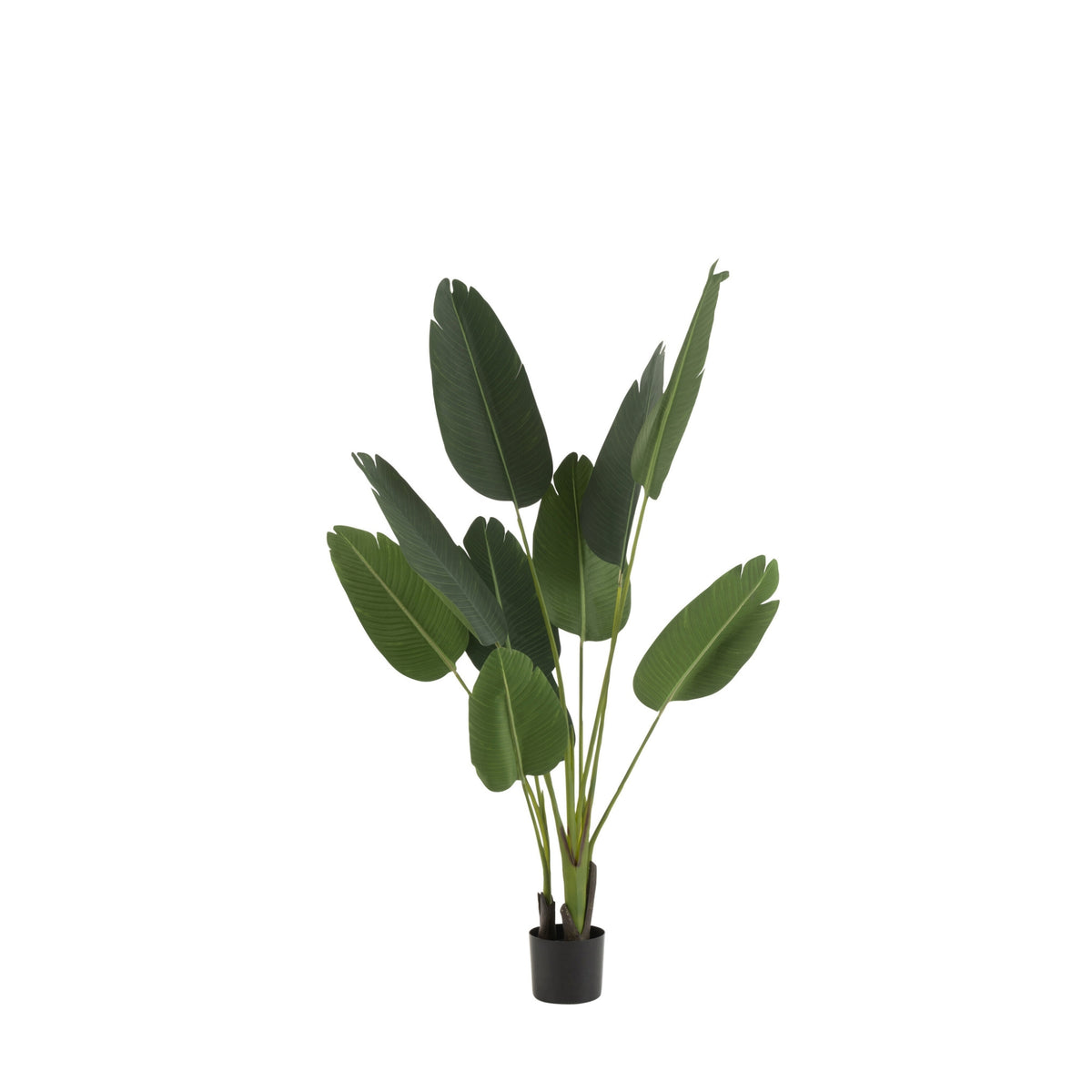 Strelitzia Plástico Verde Pequeña