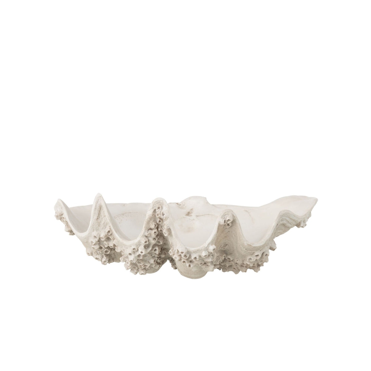 Plato decorativo con concha de mar de resina, blanco roto, pequeño, J-Line