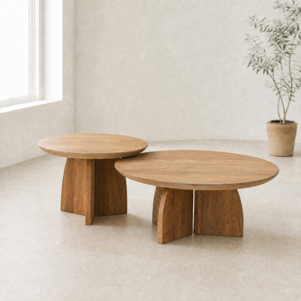 DTP Home Mesa de centro Nova Set de 2 Madera de teca