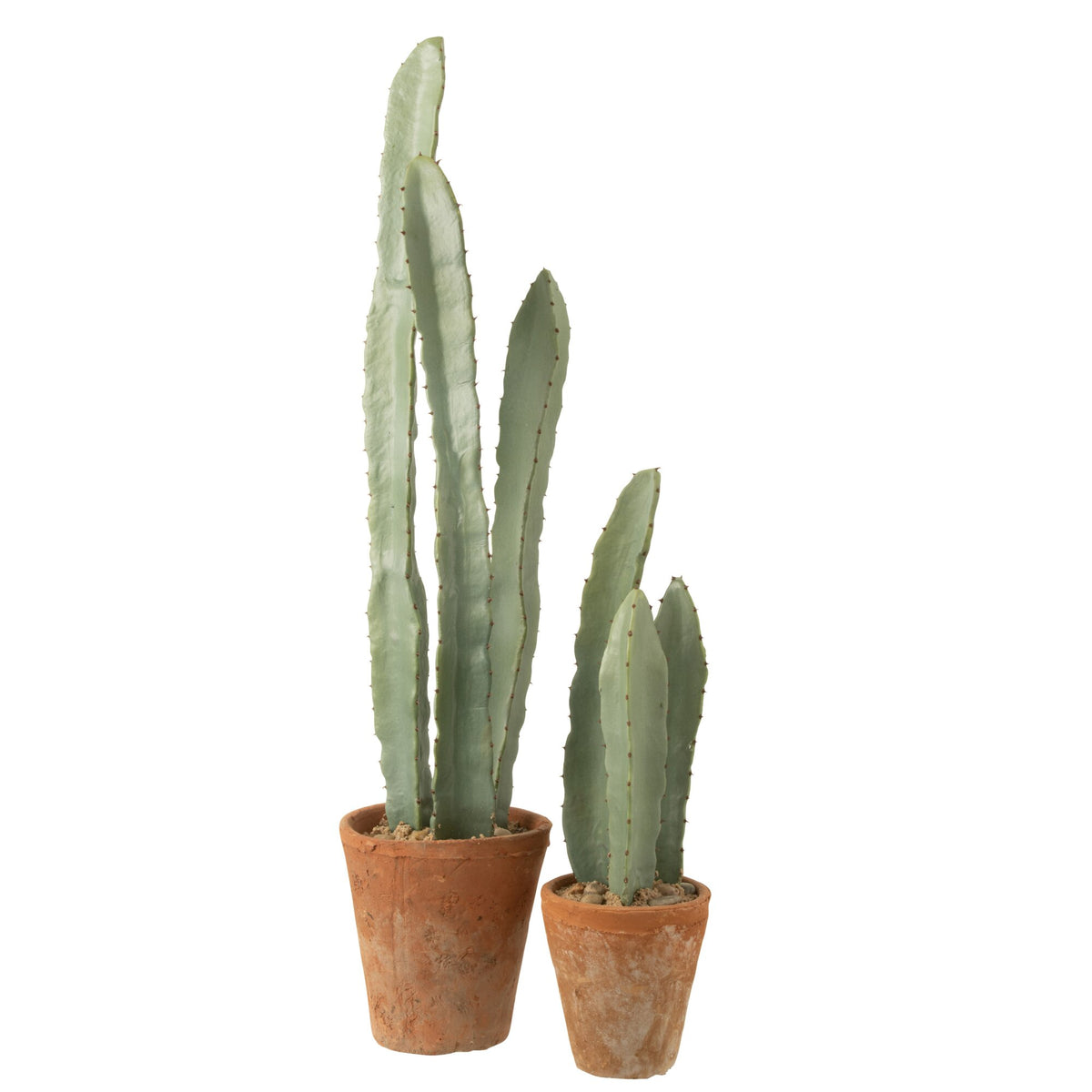 Cactus en Maceta de Plástico Verde Grande Set de 3