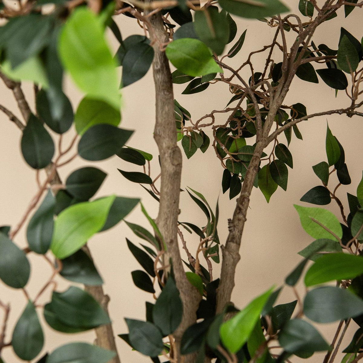 Groene kunst ficus van PTMD als sfeerbeeld in een licht interieur