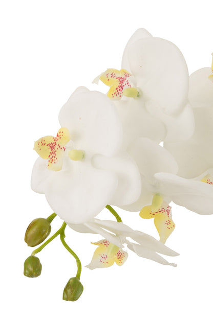 Orquídea En Tierra Plástico Blanco/Verde Grande 32x32x75cm