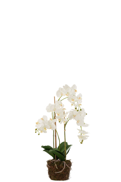 Orquídea En Tierra Plástico Blanco/Verde Grande 32x32x75cm