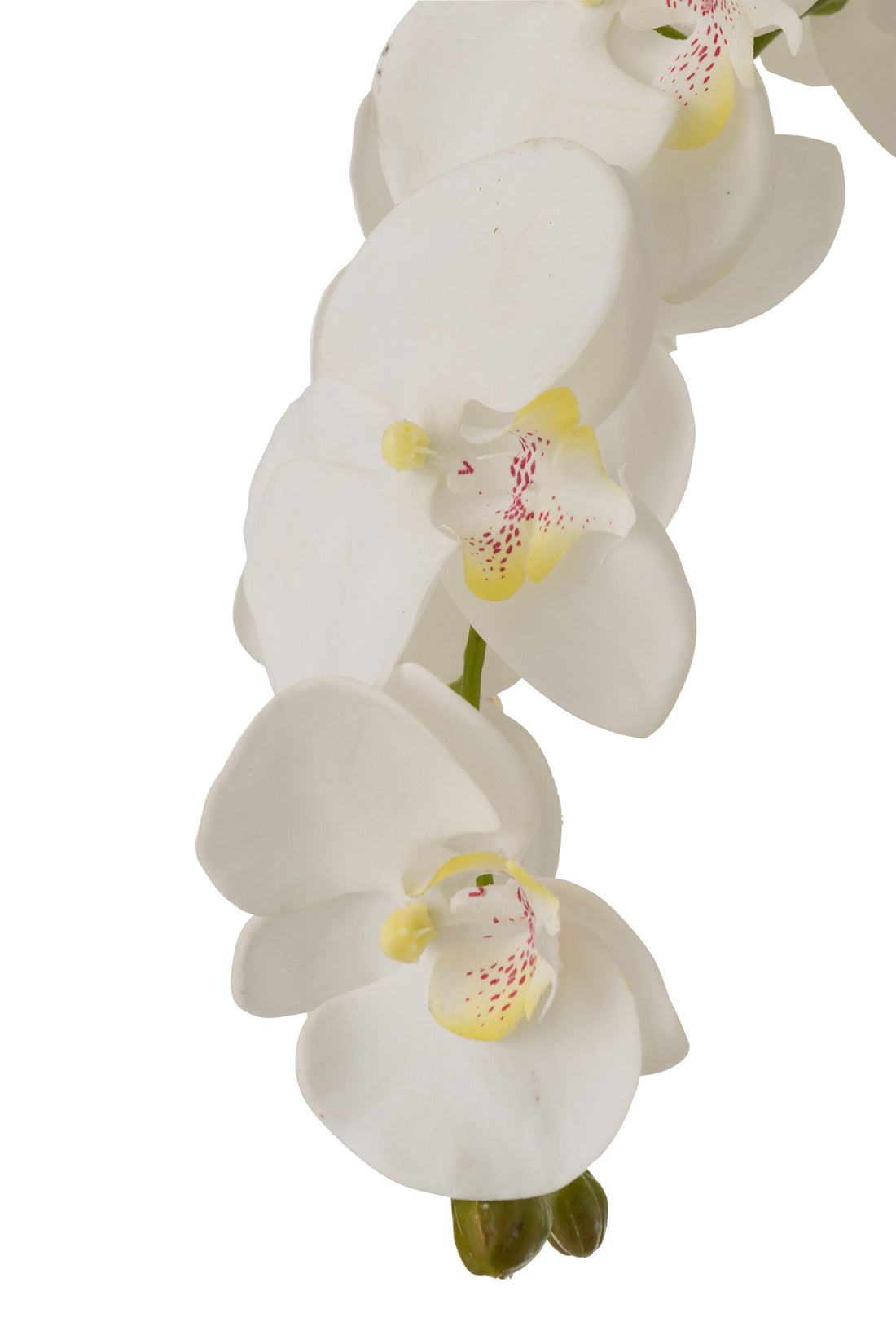Orquídea En Tierra Plástico Blanco/Verde Extra Grande L60cmb53cmh104cm