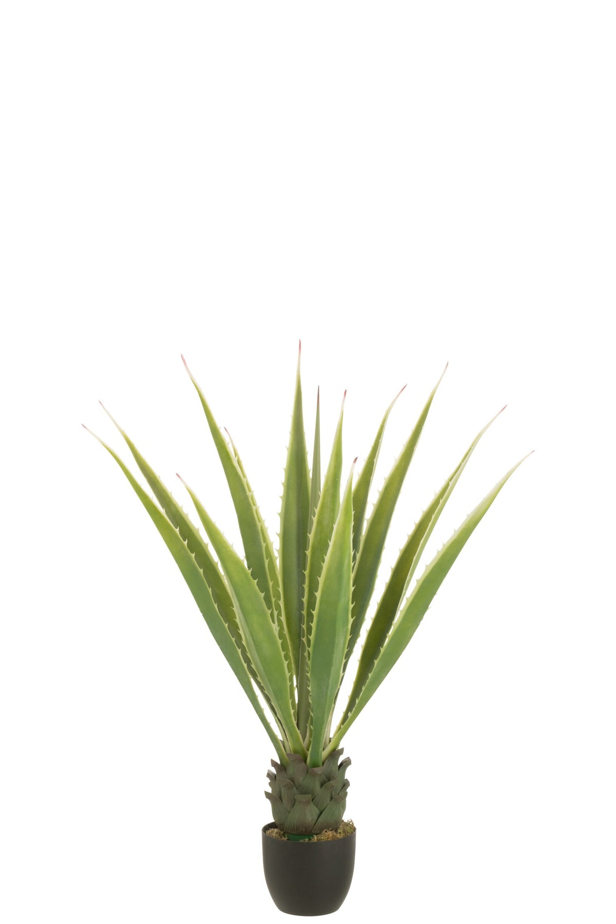 Agave Blanco Roto Verde Artificial 80x80x150cm