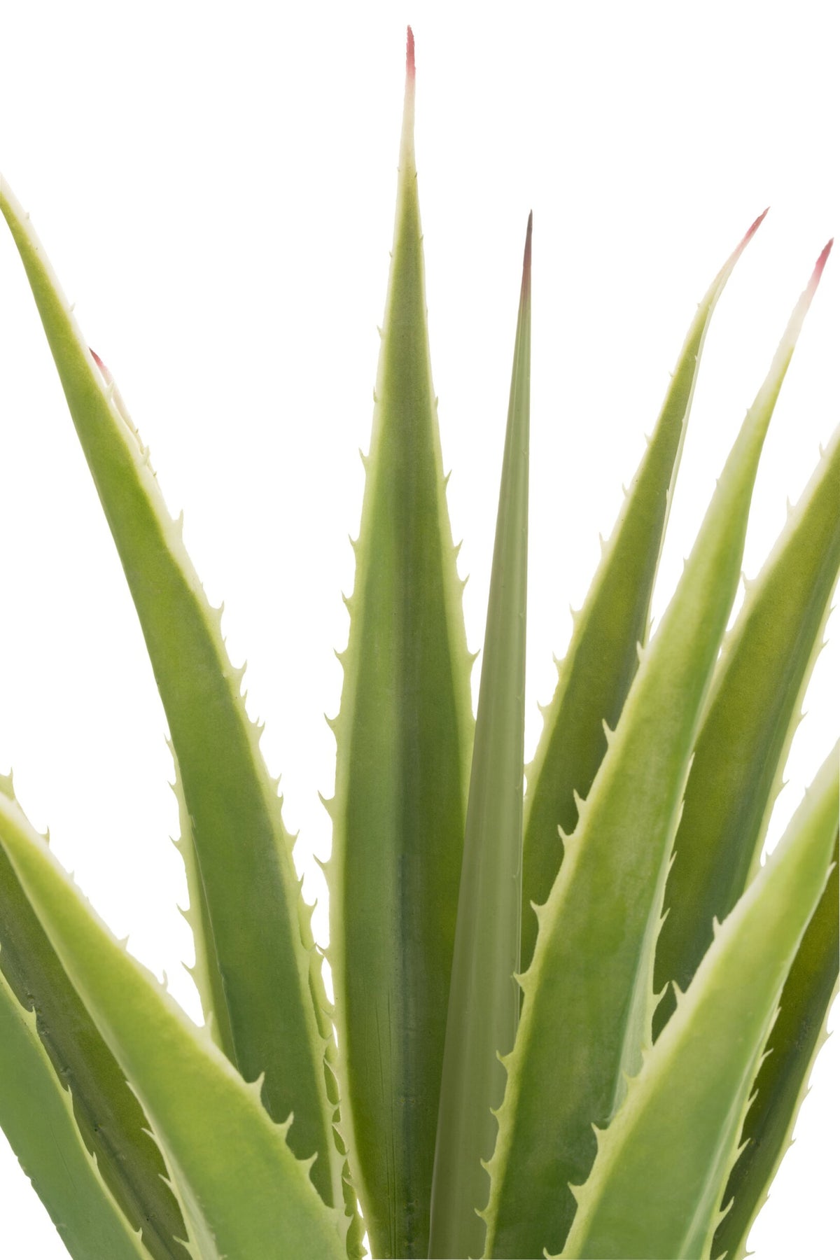 Agave Blanco Roto Verde Artificial 80x80x150cm