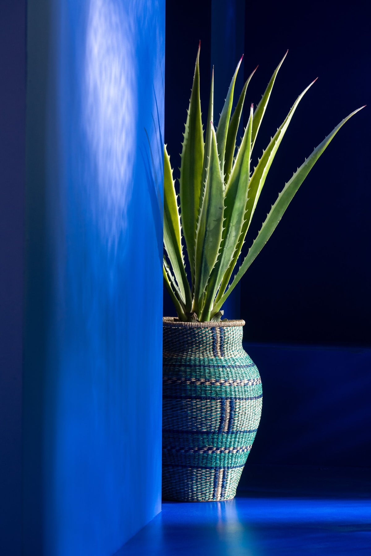 Agave Blanco Roto Verde Artificial 80x80x150cm