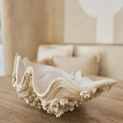 Plato decorativo con concha de mar de resina, blanco roto, grande, J-Line