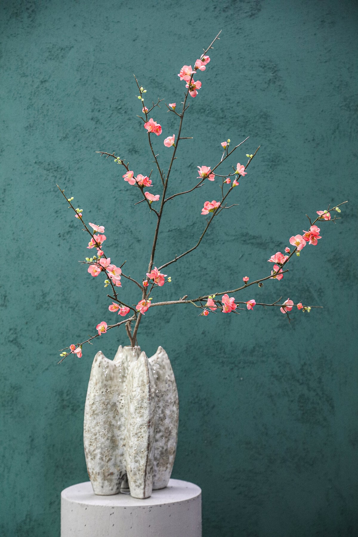 Blossom Flower Flor de Cerezo Rosa L PTMD
