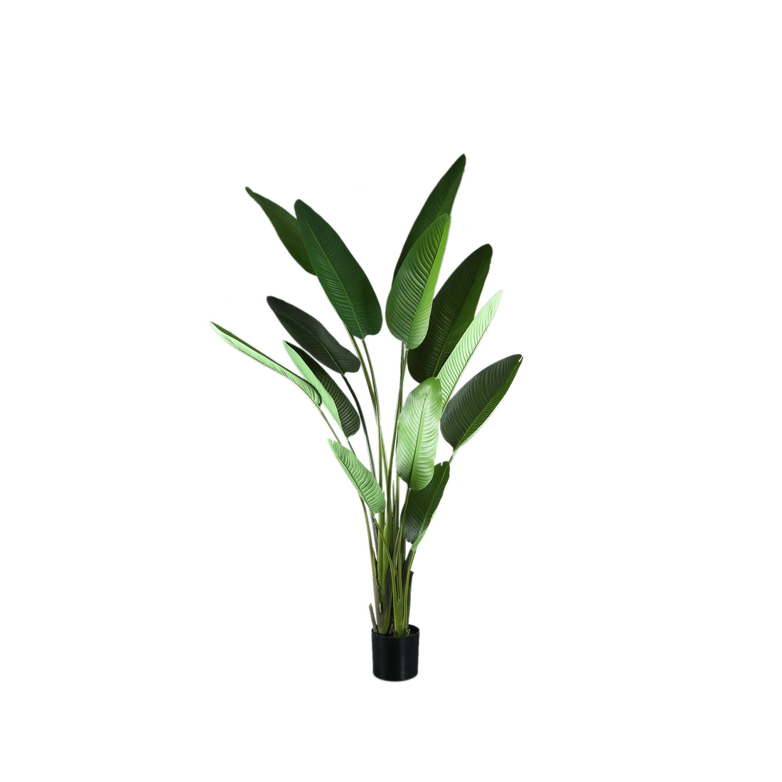 Planta artificial verde de PE Real Touch Strelitzia L 110x63x235cm PTMD