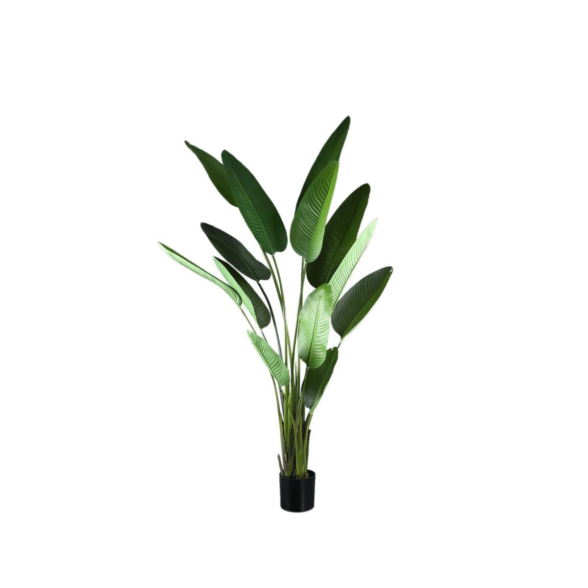 Planta artificial verde de PE Real Touch Strelitzia L 110x63x235cm PTMD