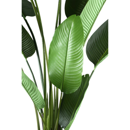 Planta artificial verde de PE Real Touch Strelitzia L 110x63x235cm PTMD