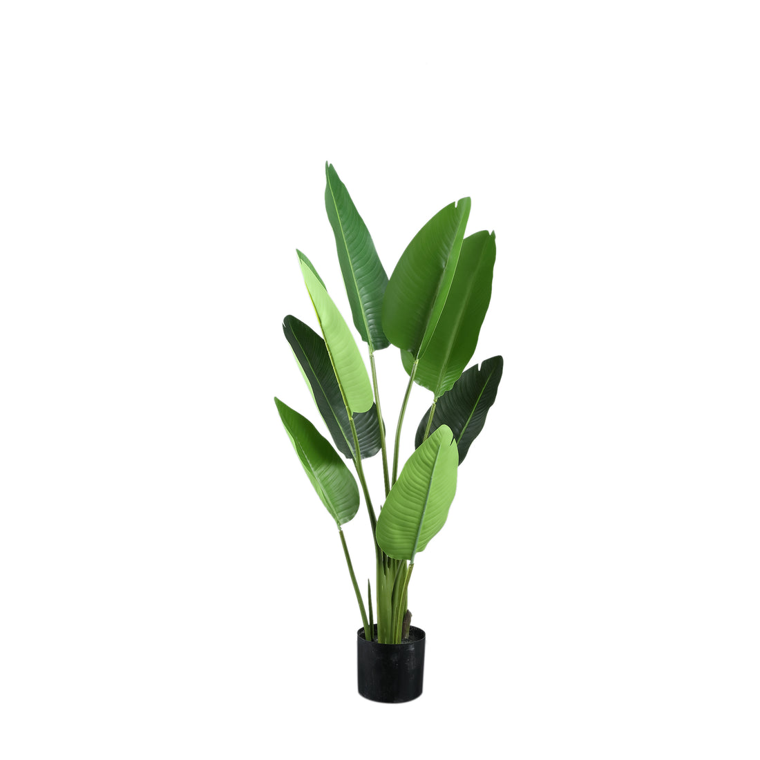Leaves Planta Verde PE Real Touch Strelitzia S 77x56x117cm PTMD