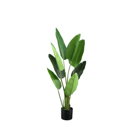 Leaves Planta Verde PE Real Touch Strelitzia S 77x56x117cm PTMD