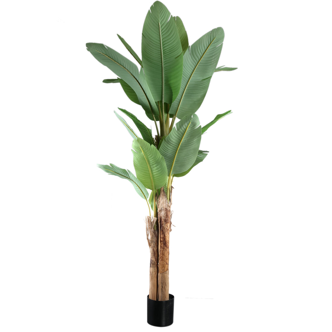 Árbol verde de PE Real Touch, banano, L 170x163x280cm PTMD