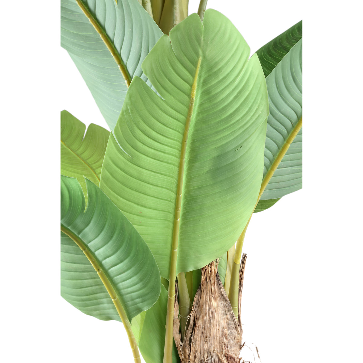Árbol verde de PE Real Touch, banano, L 170x163x280cm PTMD