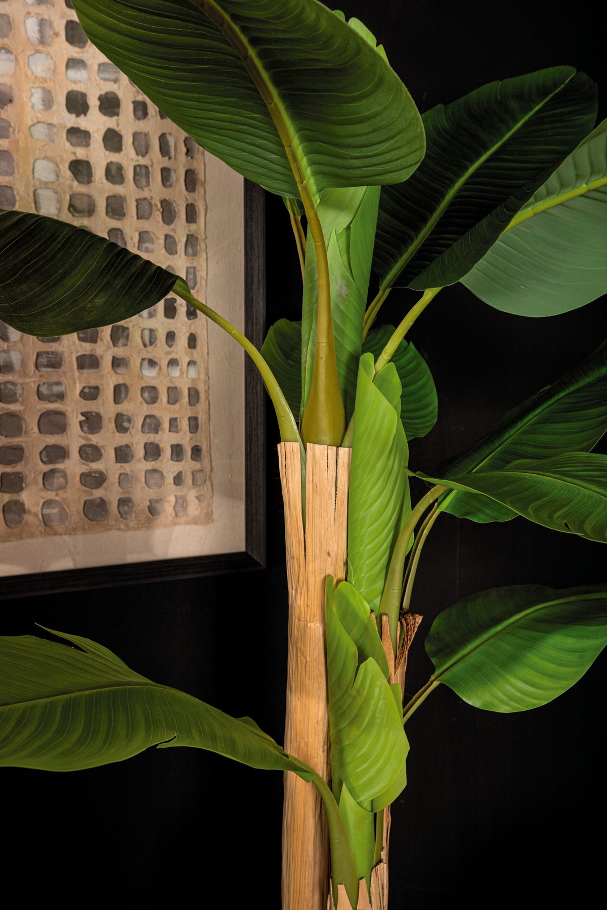 Árbol verde de PE Real Touch, banano, L 170x163x280cm PTMD