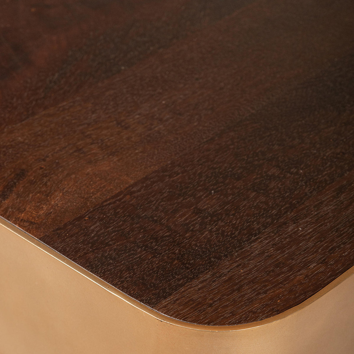 Mesa de centro Warren de madera marrón y metal dorado PTMD