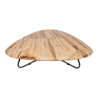 Mesa de centro Deeba de madera petrificada 130 PTMD