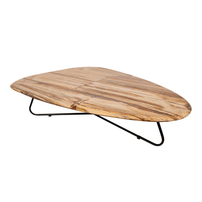 Mesa de centro Deeba de madera petrificada 130 PTMD