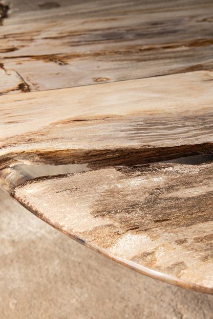 Mesa de centro Deeba de madera petrificada 130 PTMD