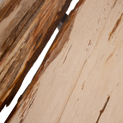 Mesa de centro Deeba de madera petrificada 95 PTMD