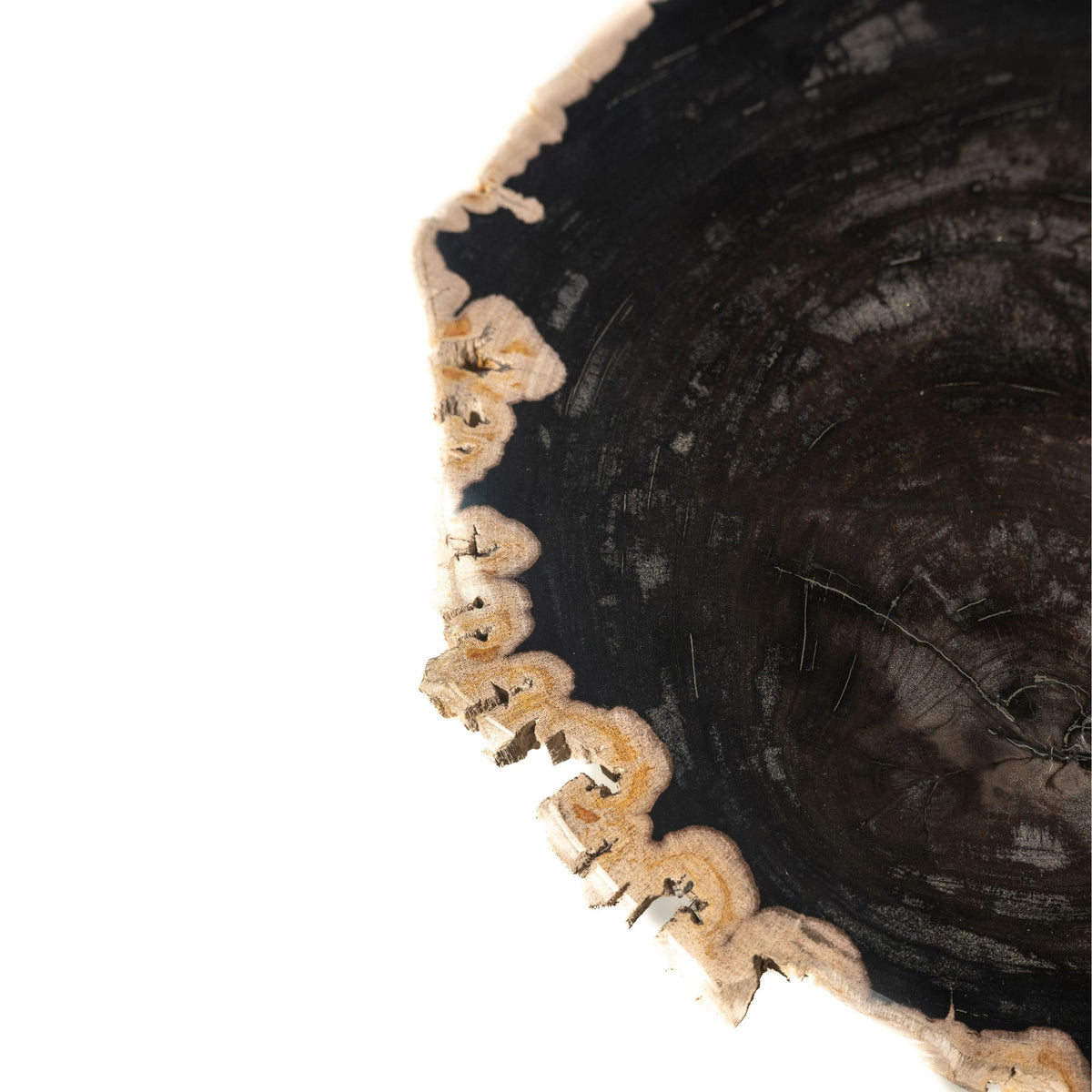 Mesa auxiliar Jisse de madera petrificada negra con base retorcida PTMD