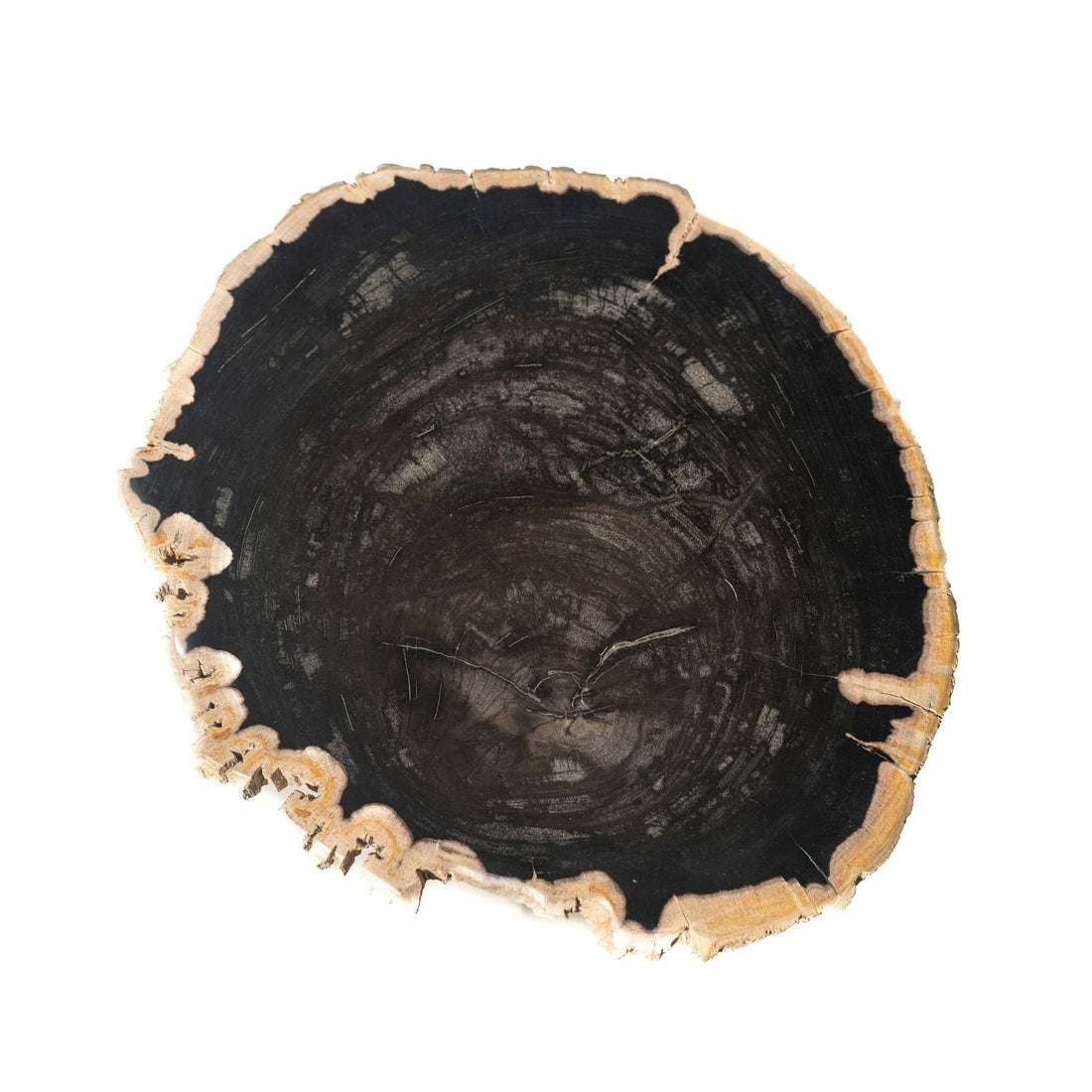 Mesa auxiliar Jisse de madera petrificada negra con base retorcida PTMD