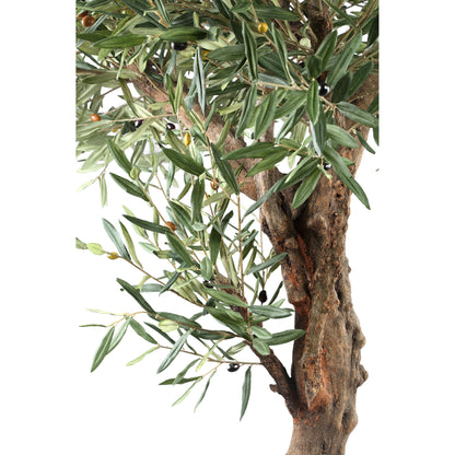 Árbol de olivo verde en maceta 120x120x210cm PTMD