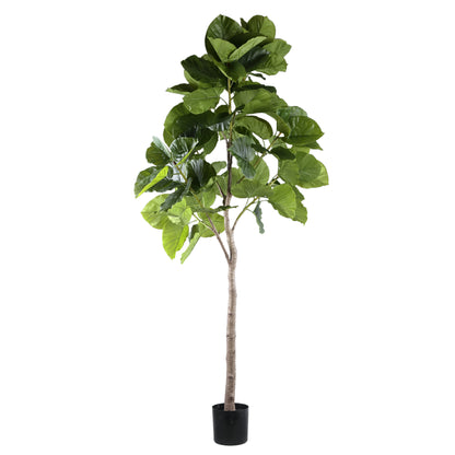 Árbol Ficus Verde de Tres Troncos en Maceta L 118x 85x183cm PTMD