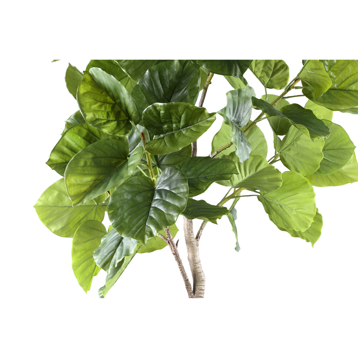Árbol Ficus Verde de Tres Troncos en Maceta L 118x 85x183cm PTMD