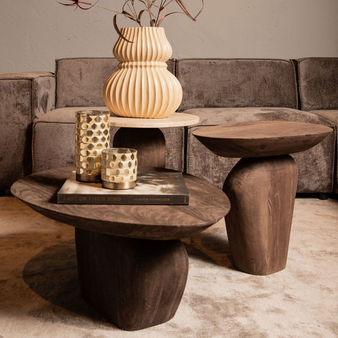 Mesa de centro Harshad de madera de mango marrón, orgánica PTMD