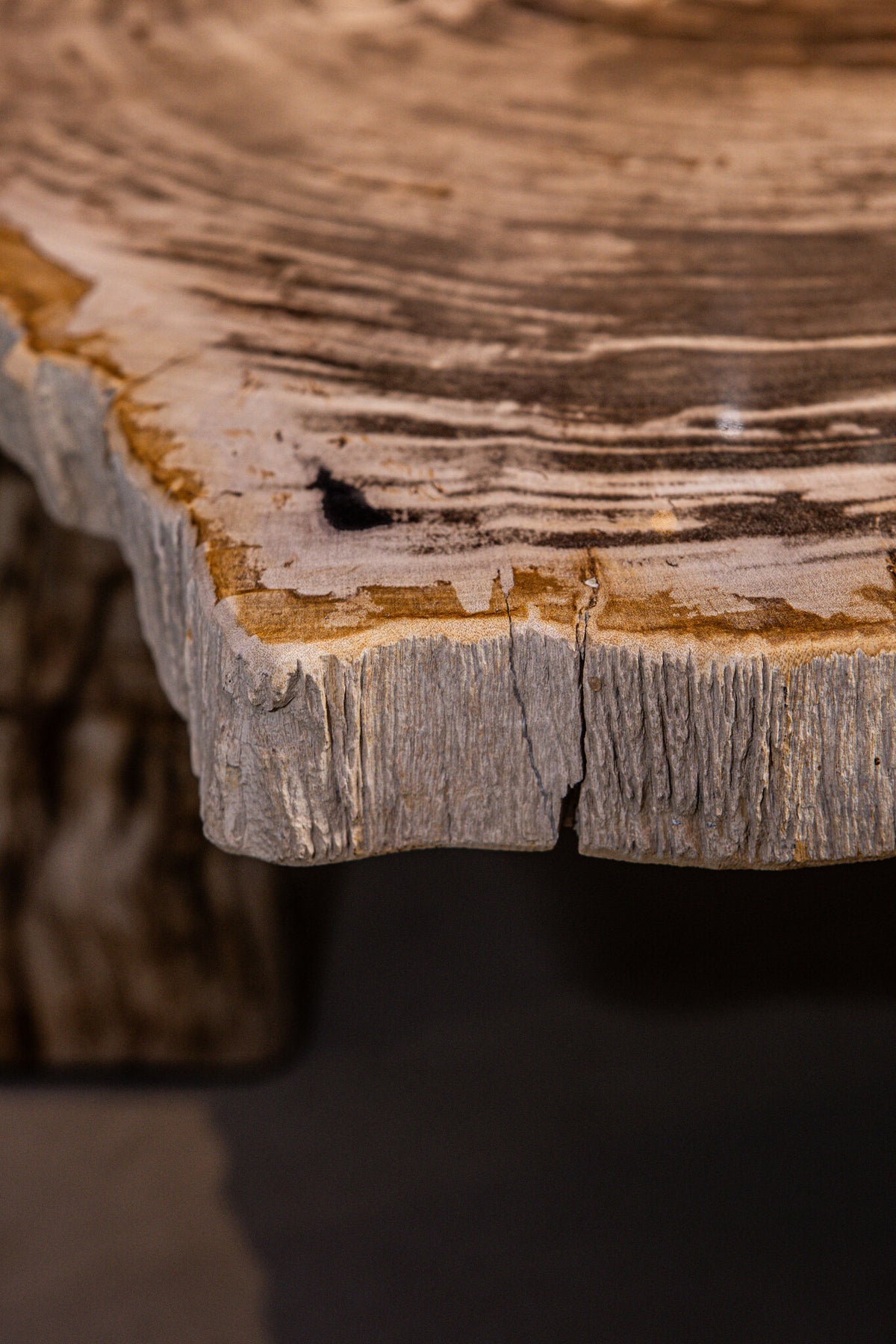 Mesa de centro Kayo Natural Madera petrificada 3 Patas Alta PTMD