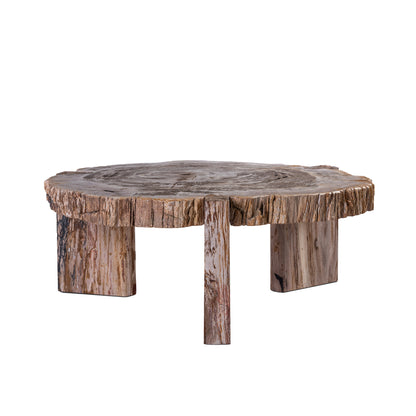 Mesa de centro Kayo Madera petrificada natural 3 patas Baja PTMD