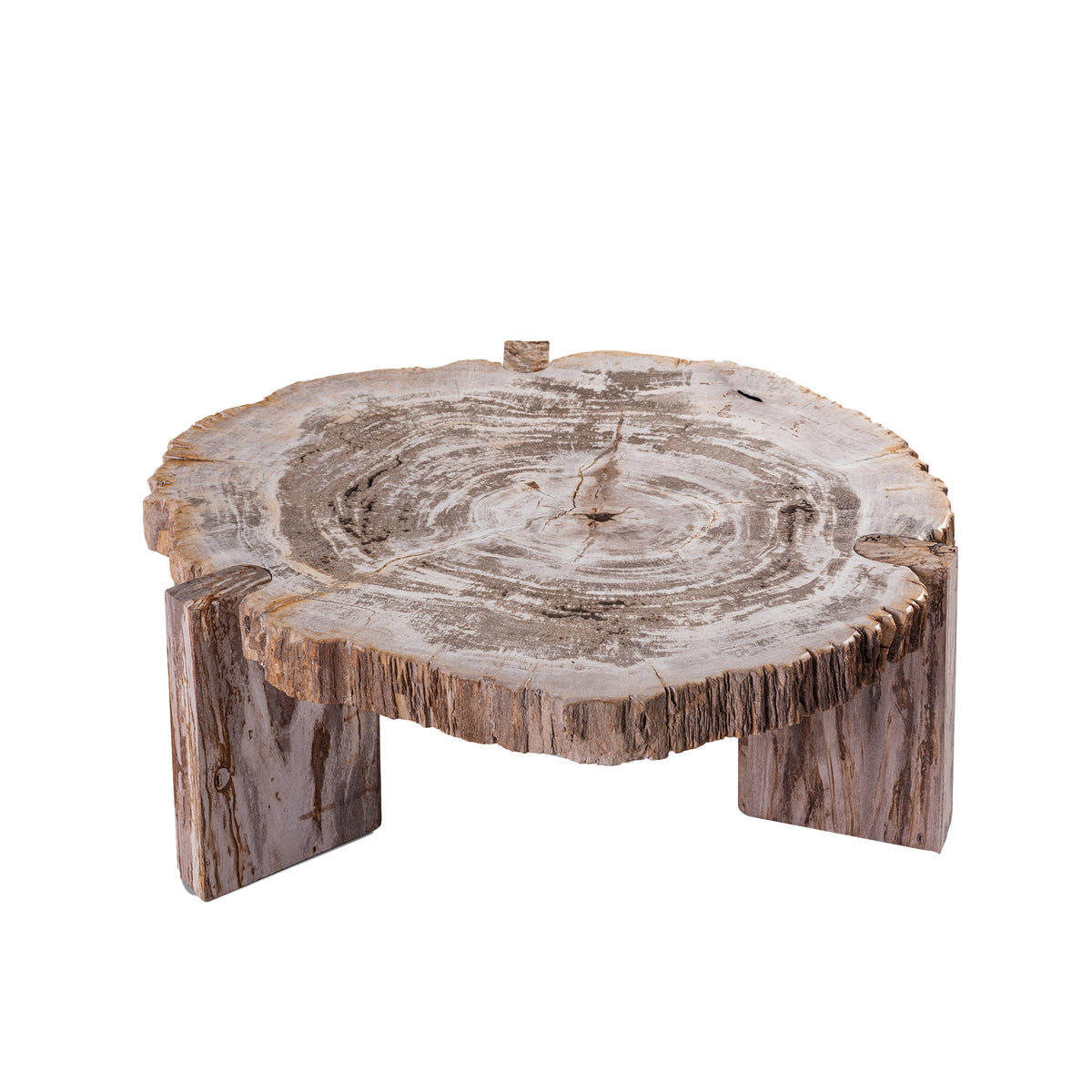 Mesa de centro Kayo Madera petrificada natural 3 patas Baja PTMD