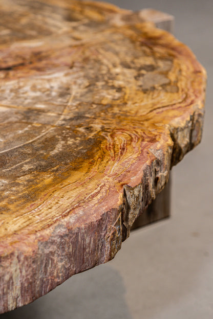 Mesa de centro Kayo Madera petrificada natural 3 patas Baja PTMD