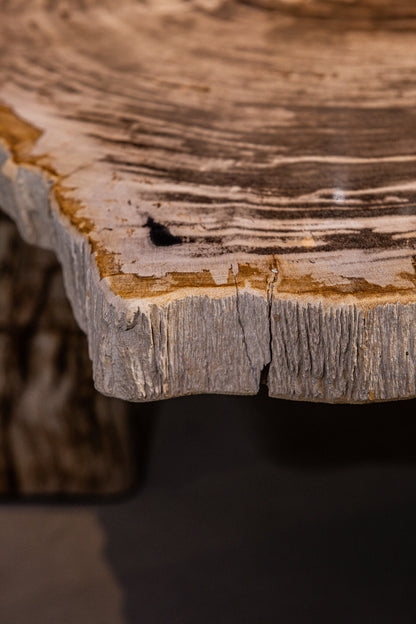 Mesa de centro Kayo Madera petrificada natural 3 patas Baja PTMD