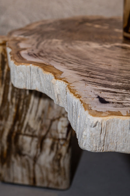 Mesa de centro Kayo Madera petrificada natural 3 patas Baja PTMD