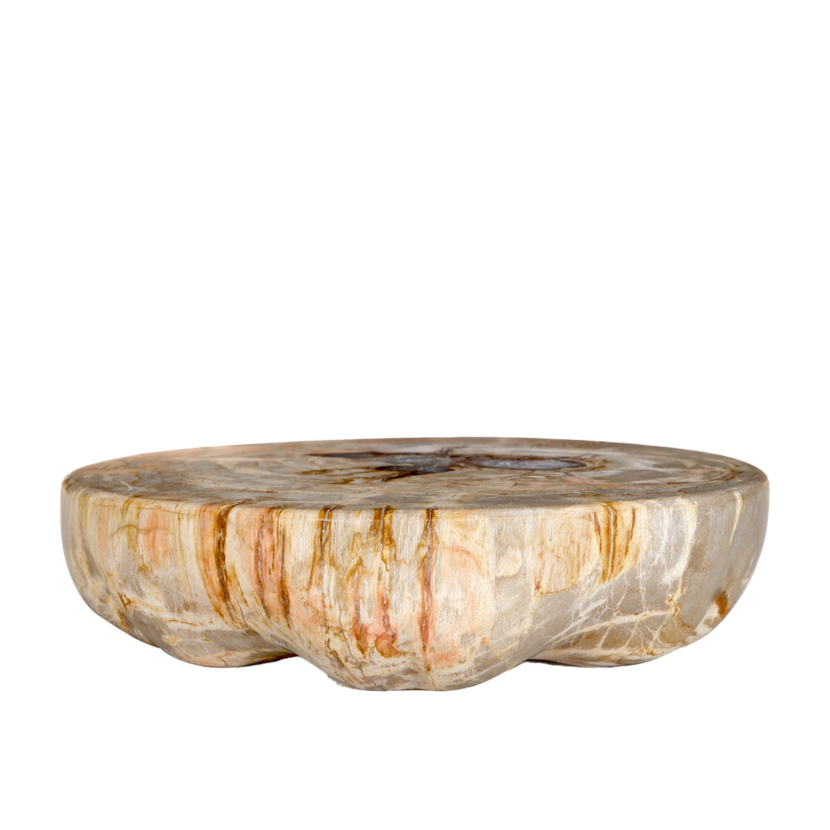 Expositor de media esfera de madera petrificada natural Bethe L PTMD