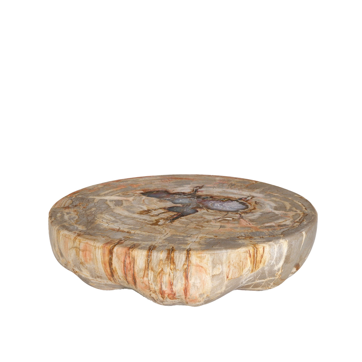 Expositor de media esfera de madera petrificada natural Bethe L PTMD