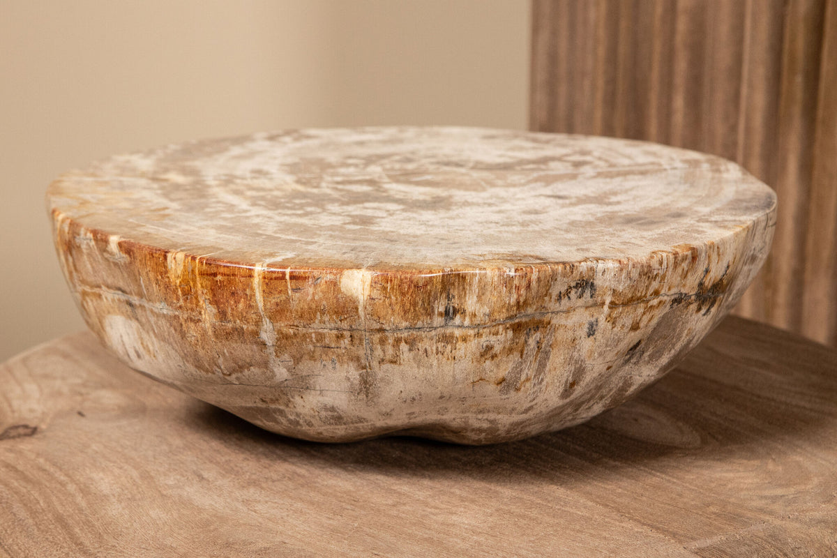 Expositor de media esfera de madera petrificada natural Bethe L PTMD